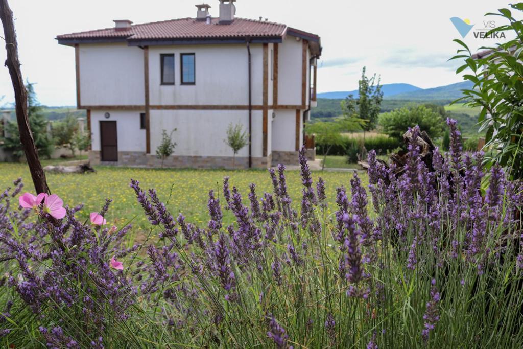 Vis Velika Bed and Breakfast Eksteriør billede