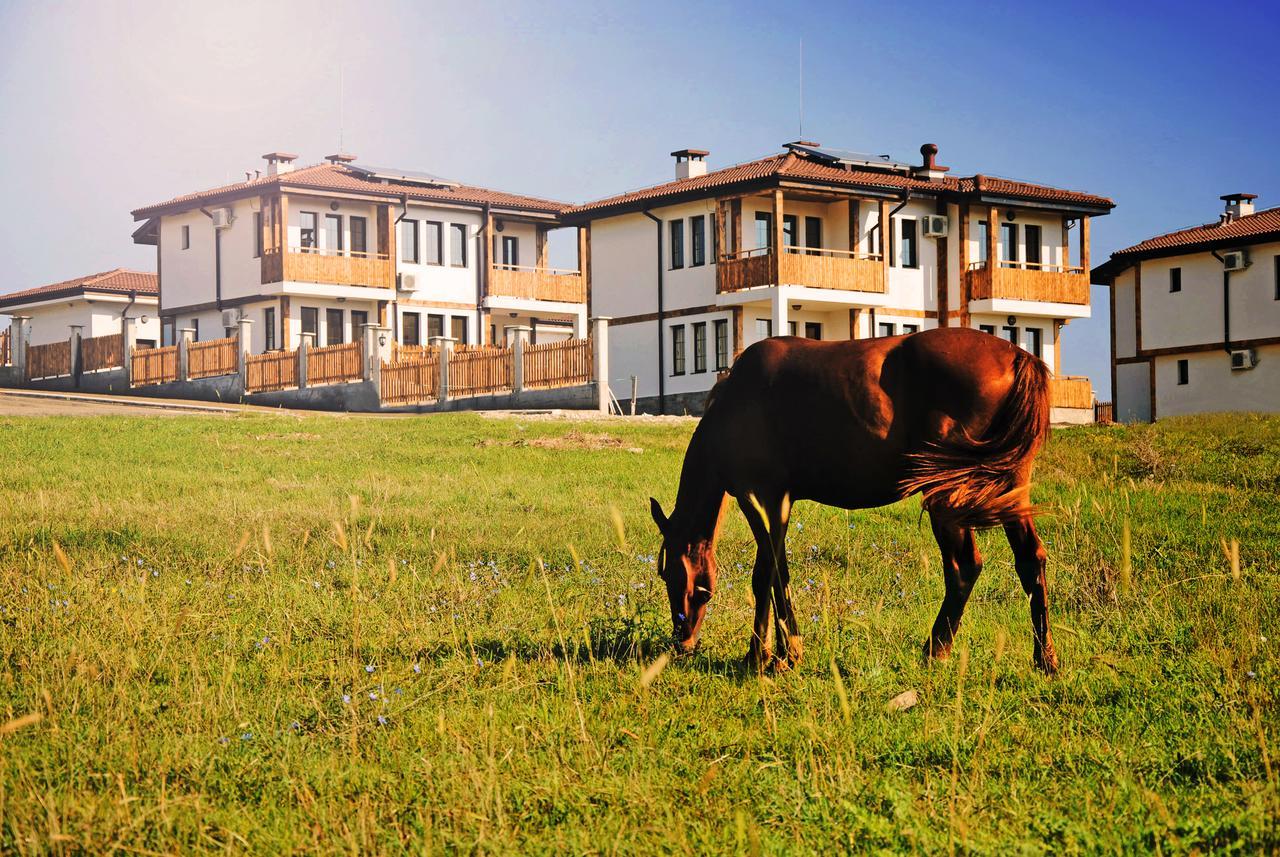 Vis Velika Bed and Breakfast Eksteriør billede